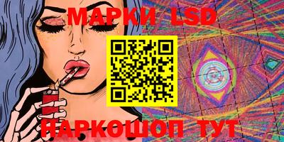 шишки Кимры