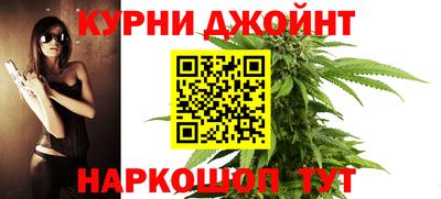 шишки Кимры