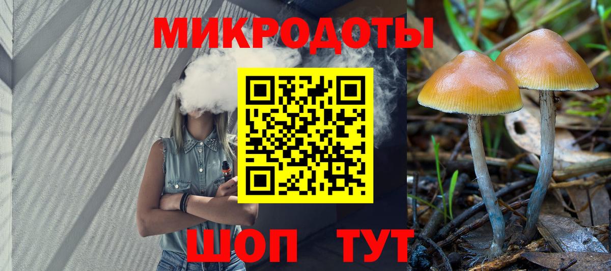 Электросталь  Псилоцибиновые грибы GOLDEN TEACHER  Вход с VPN 